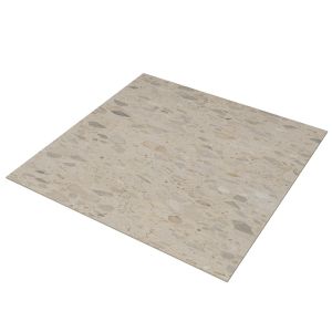 BDO-TOP-CT-8282-C-SB